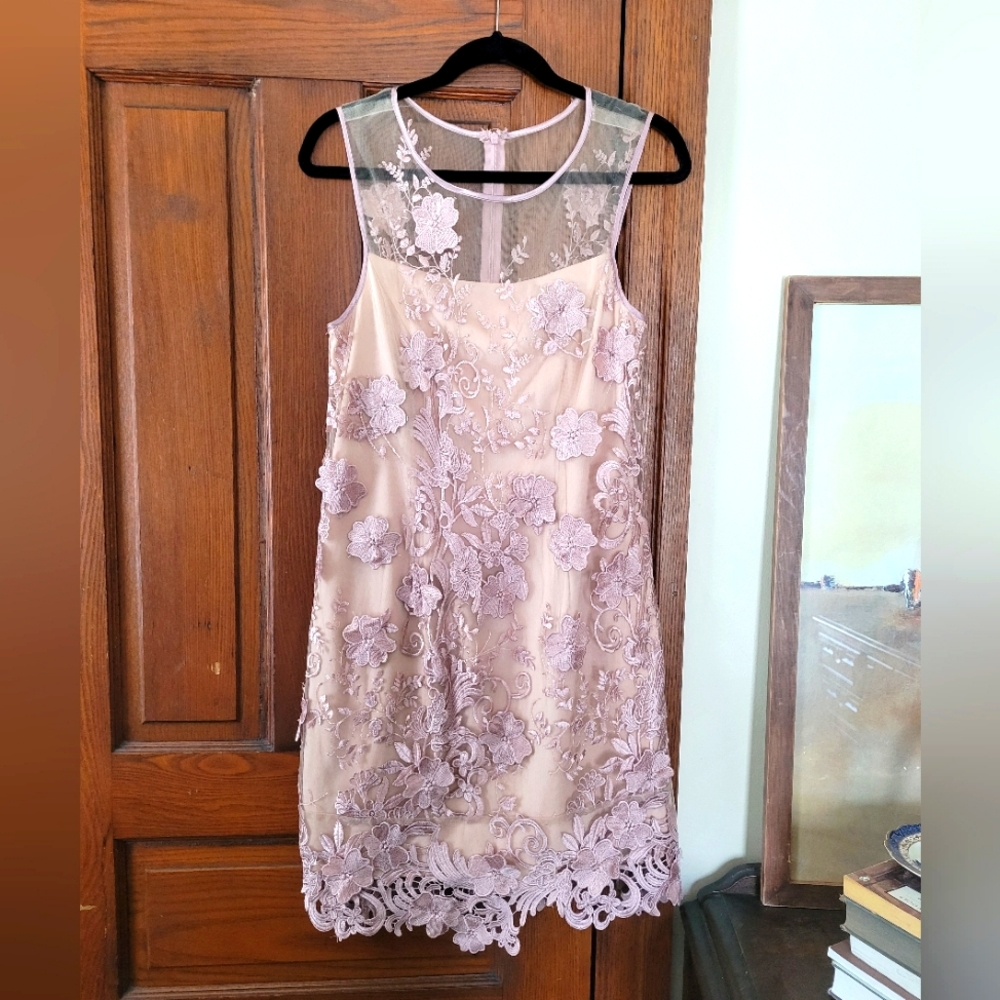 Mauve Lace & Applique Dress